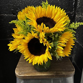 SUNFLOWER DELIGHT