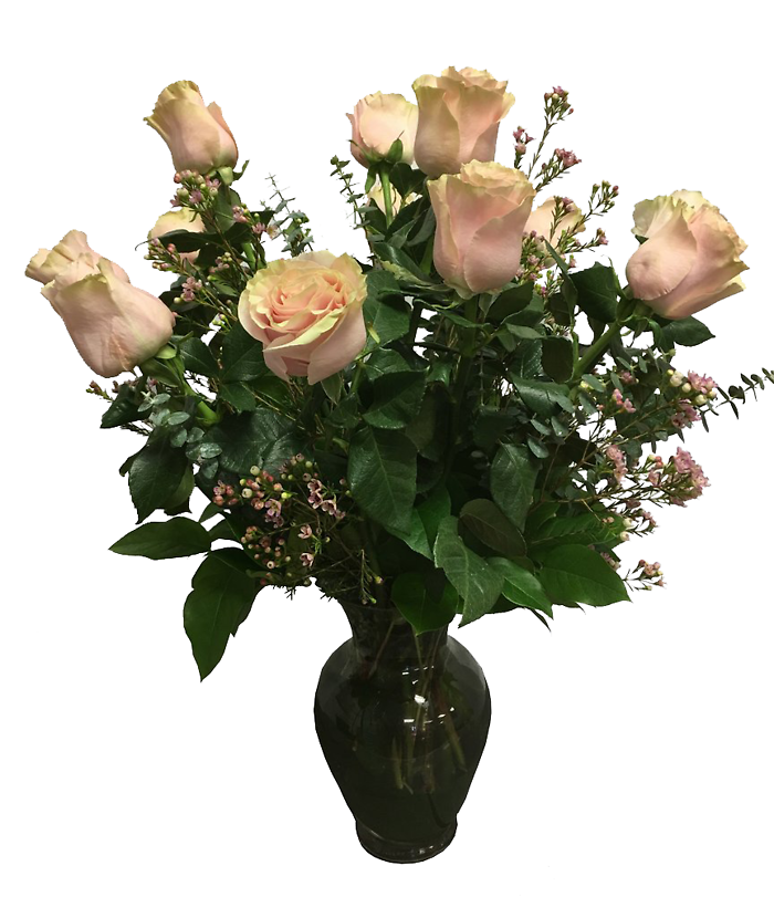 Dozen Roses