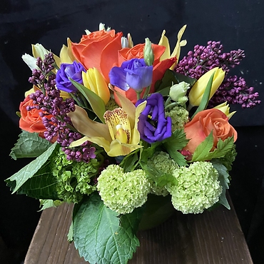 BURST OF COLOR