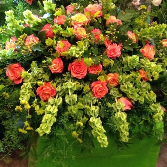 ROSE REMEMBRANCE
