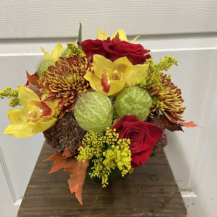 FALL DELIGHT