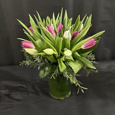 TULIP NEST