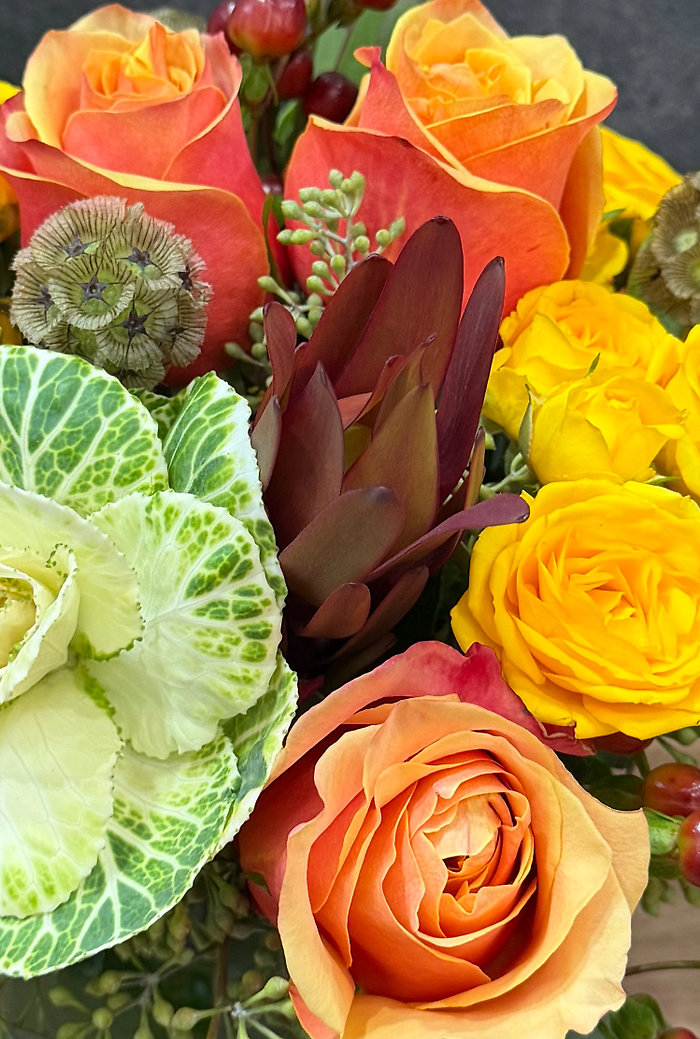 Fall Blooms