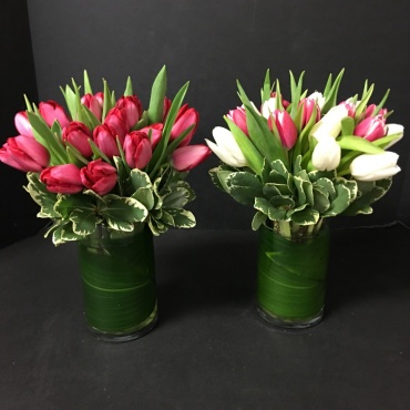 Tulip Love